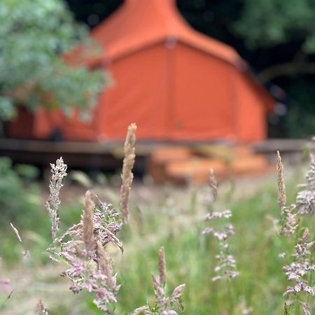 Rode Bell Achter Duin Hotel 't Horntje Bagian luar foto