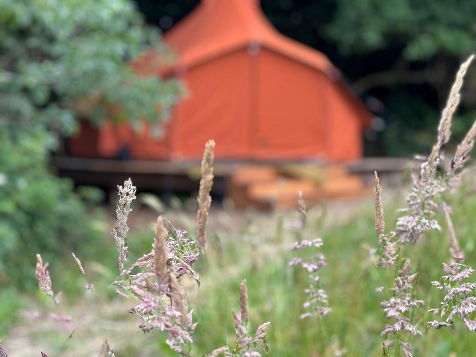 Rode Bell Achter Duin Hotel 't Horntje Bagian luar foto